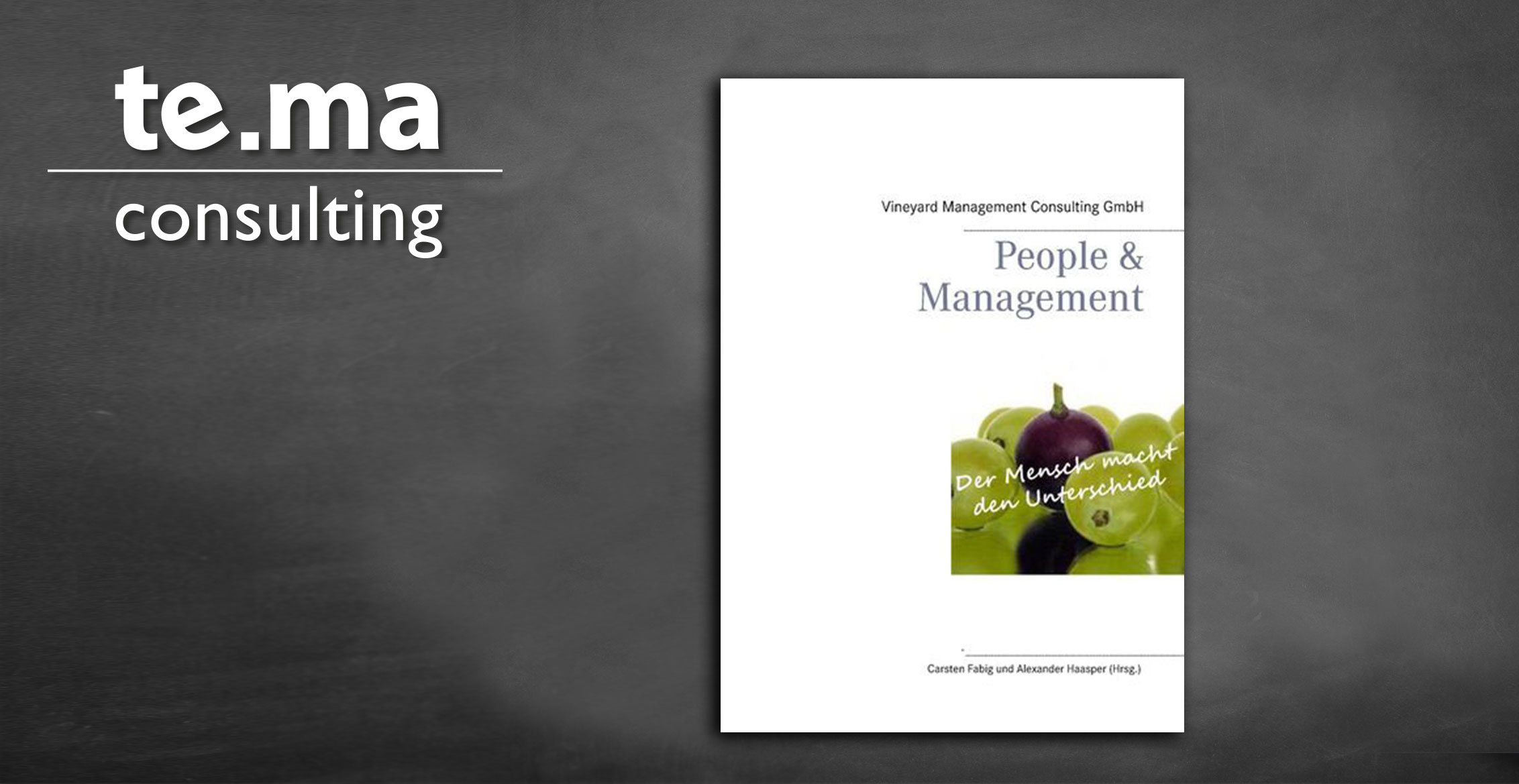 te.ma consulting