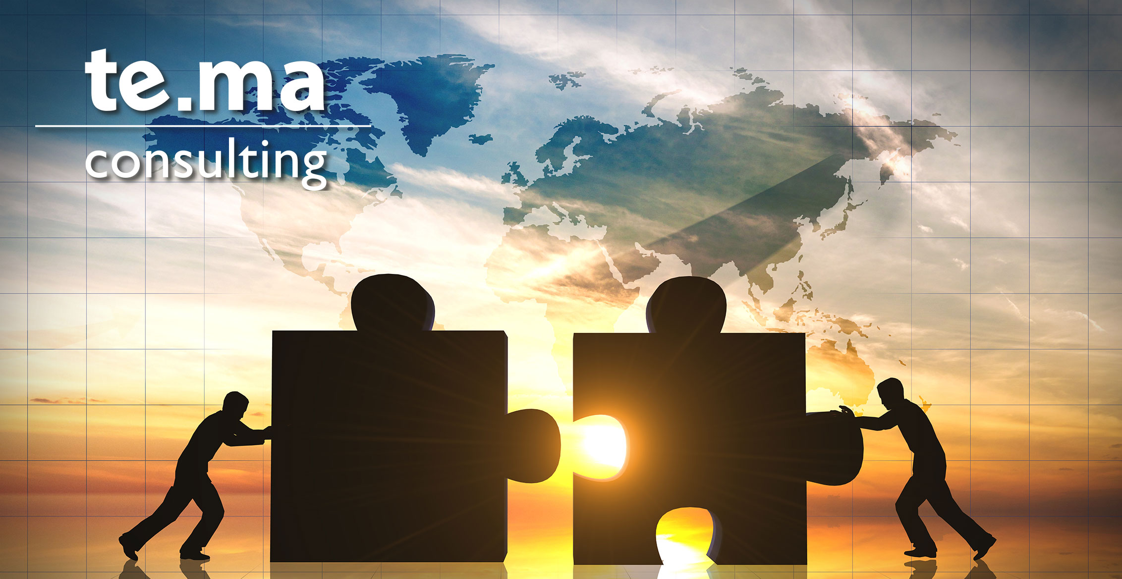 te.ma consulting